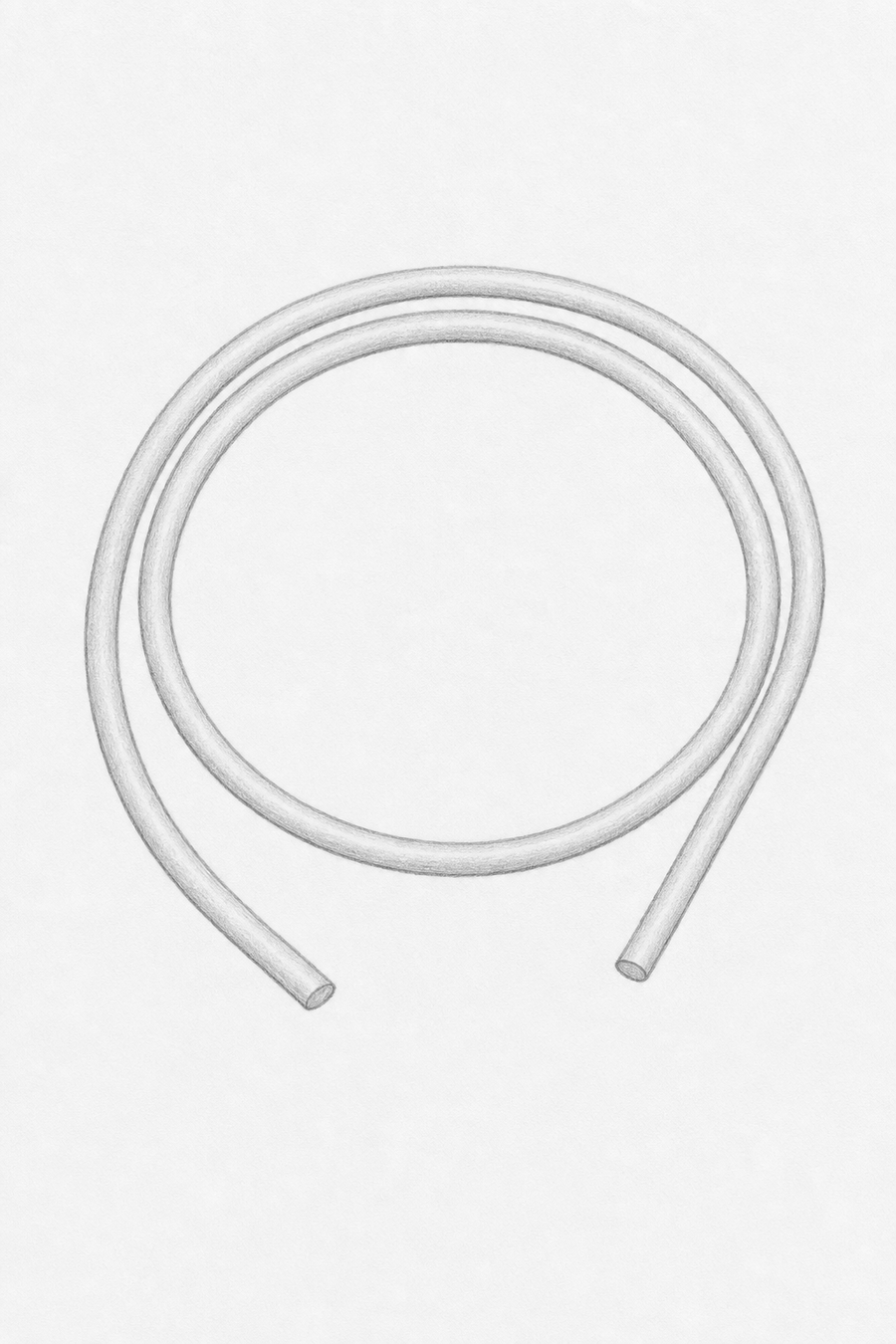 Pencil study: Cincture